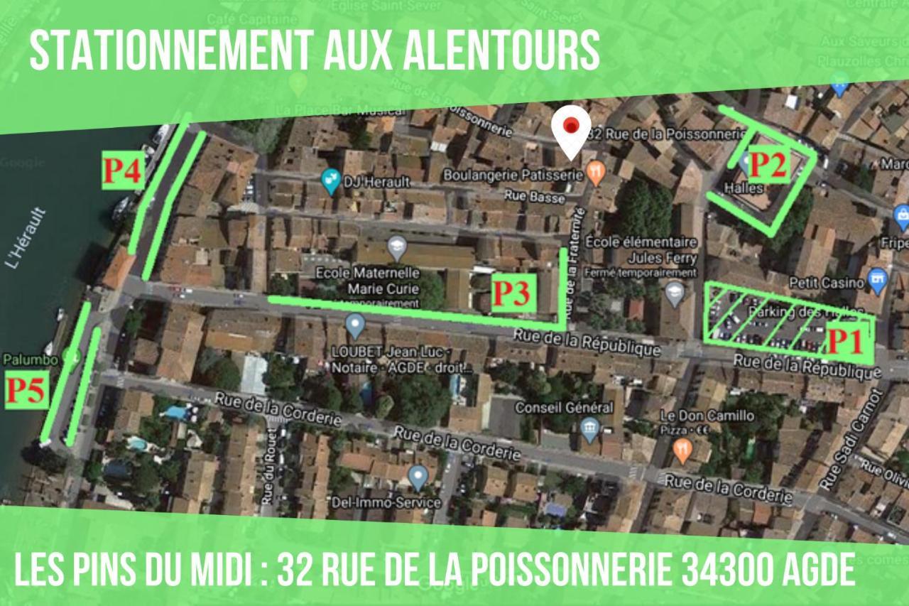 ~☆ T2 Les Pins Du Midi - Agdebnb ☆~ Luaran gambar