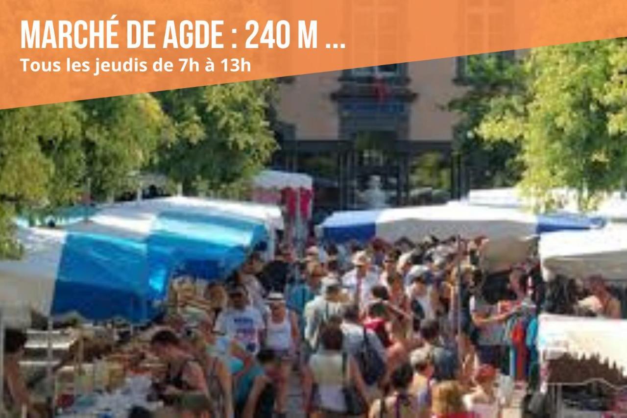 ~☆ T2 Les Pins Du Midi - Agdebnb ☆~ Luaran gambar